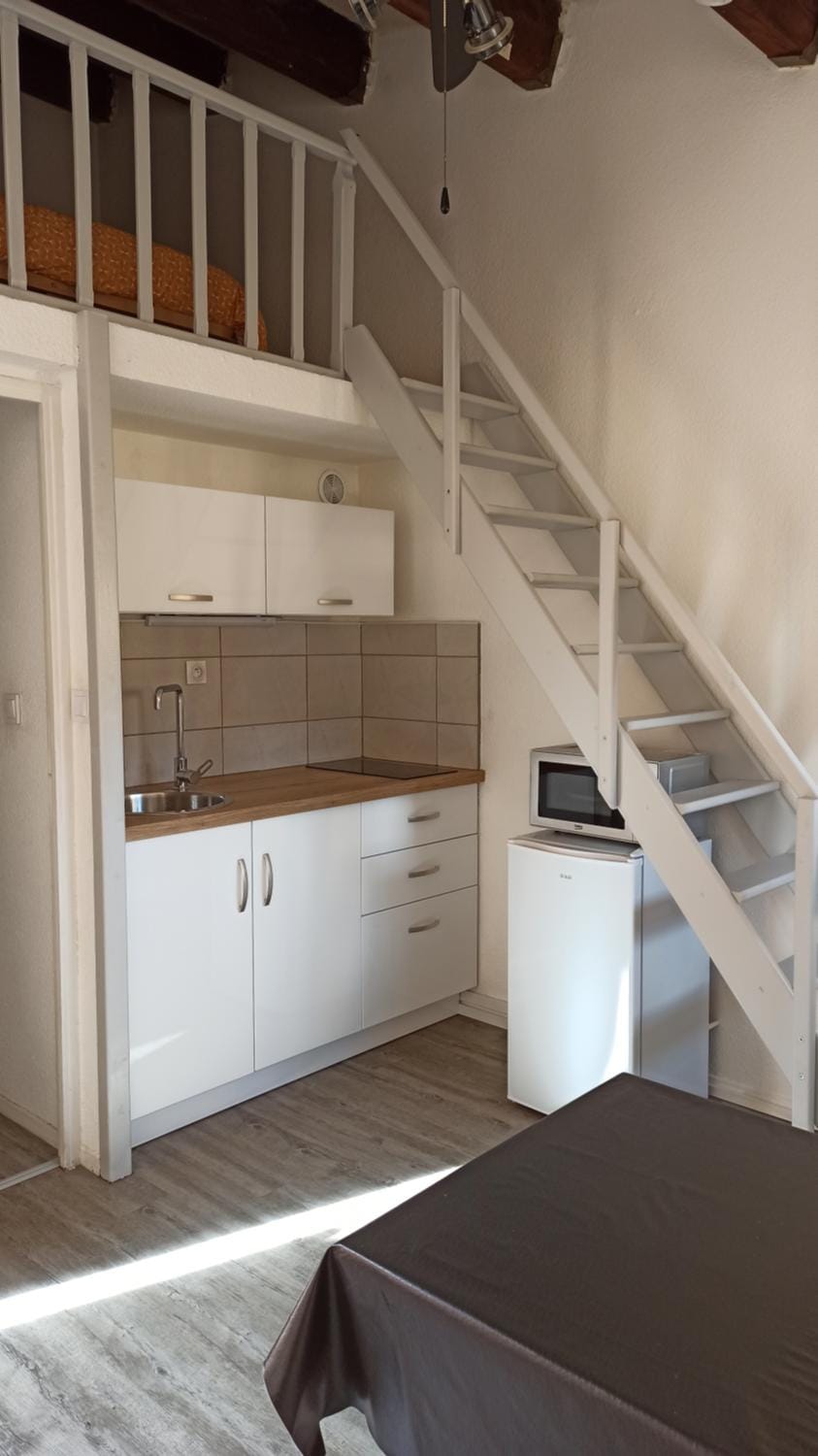 studio mezzanine climatisé avec terrasse et parking Apartment in Agde