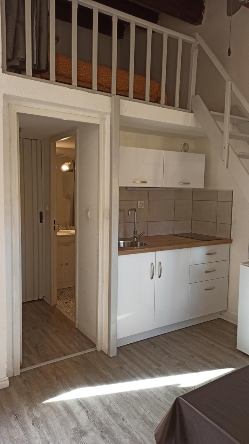 studio mezzanine climatisé avec terrasse et parking Apartment in Agde