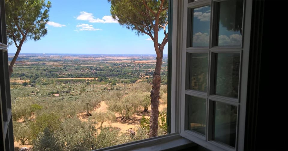 View (from property/room)