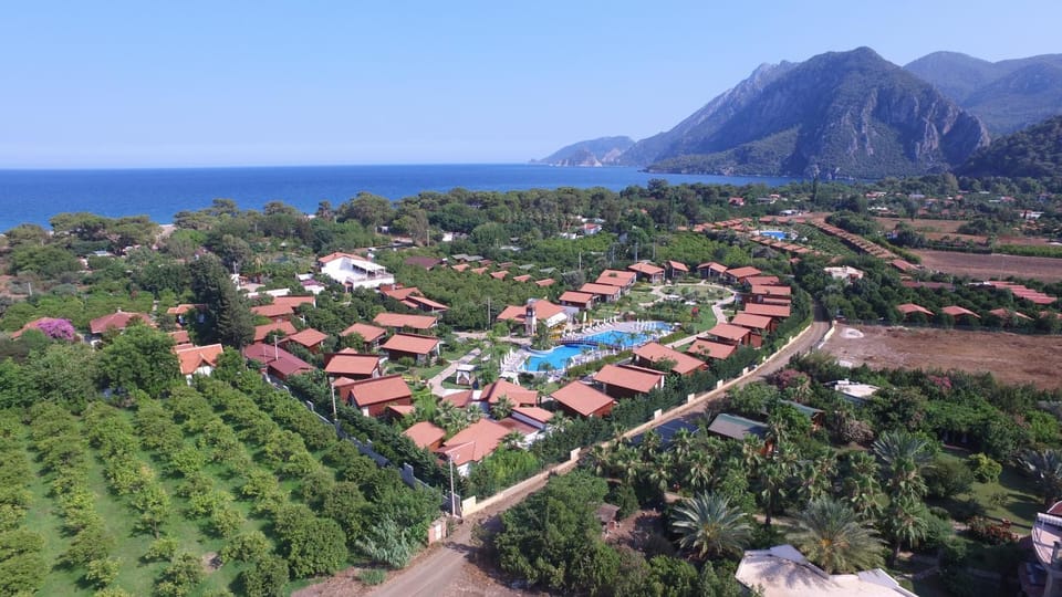 Bird's eye view, Other