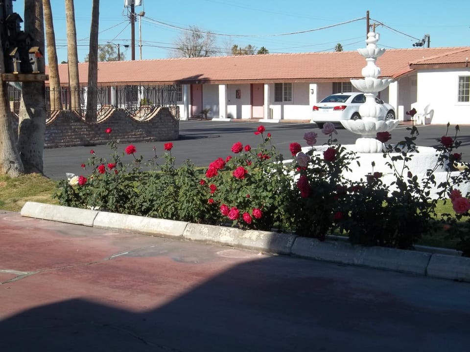 Property building, Spring