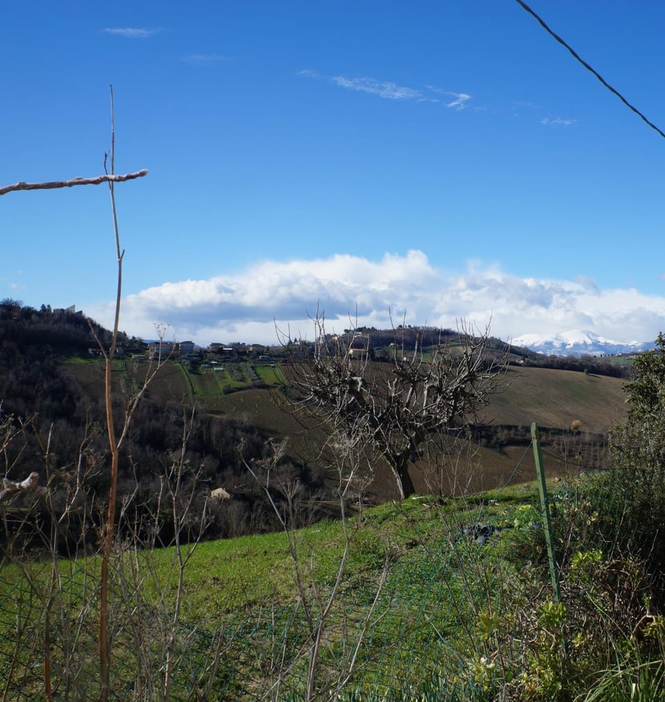Casa di Tony House in Marche