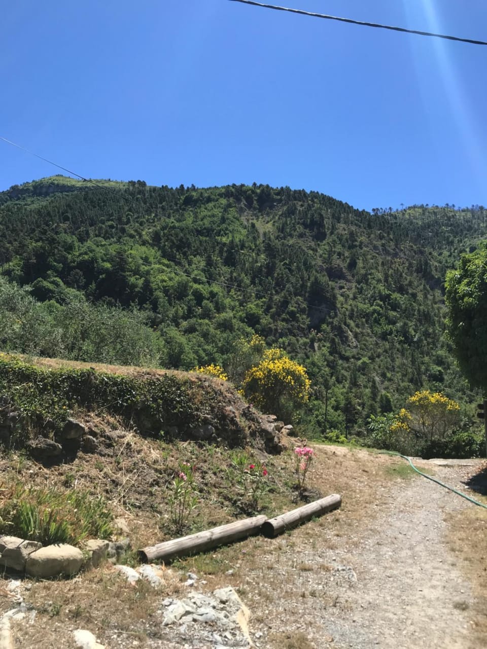 Mountain view