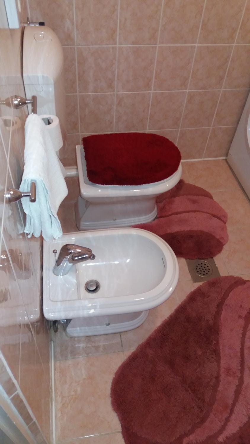 Toilet, Bathroom, bidet