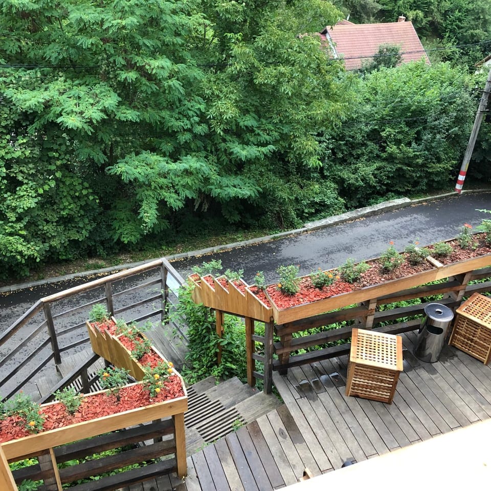 View (from property/room), Garden view, Street view, Quiet street view, Inner courtyard view
