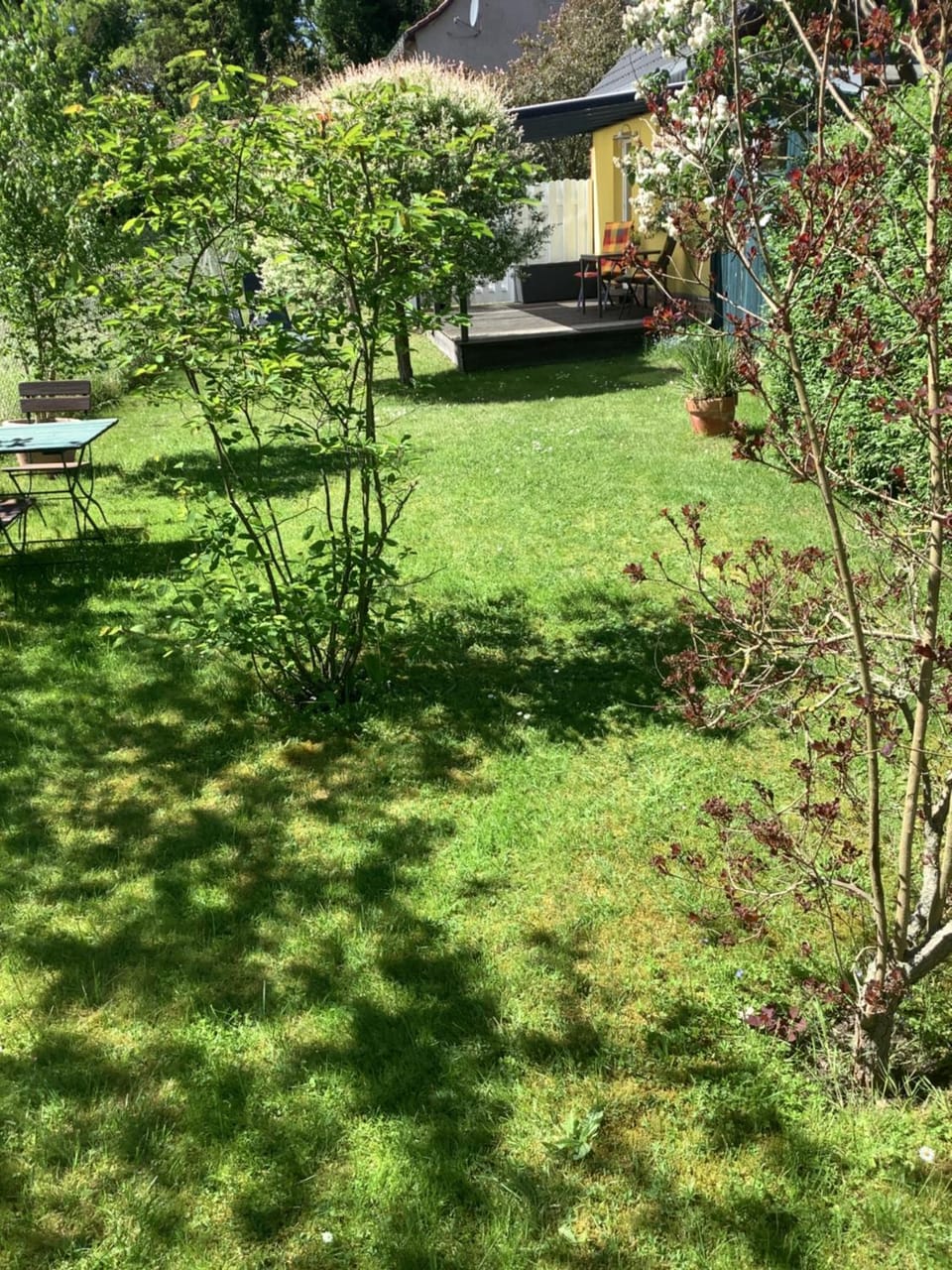 Garden view