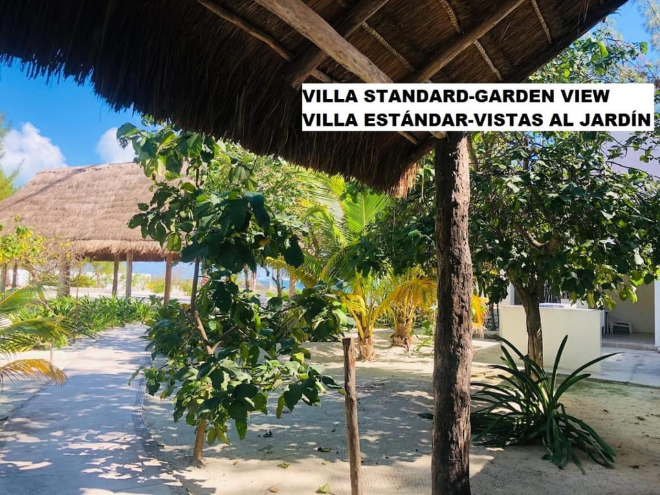 Sea by C Apartments Apartment in State of Quintana Roo