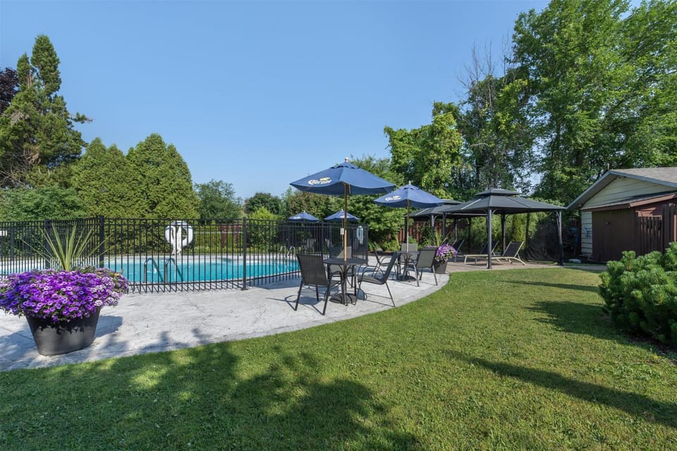 Pool view, Swimming pool