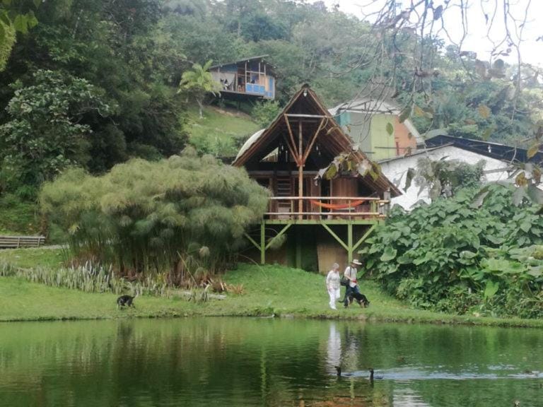 Lake view
