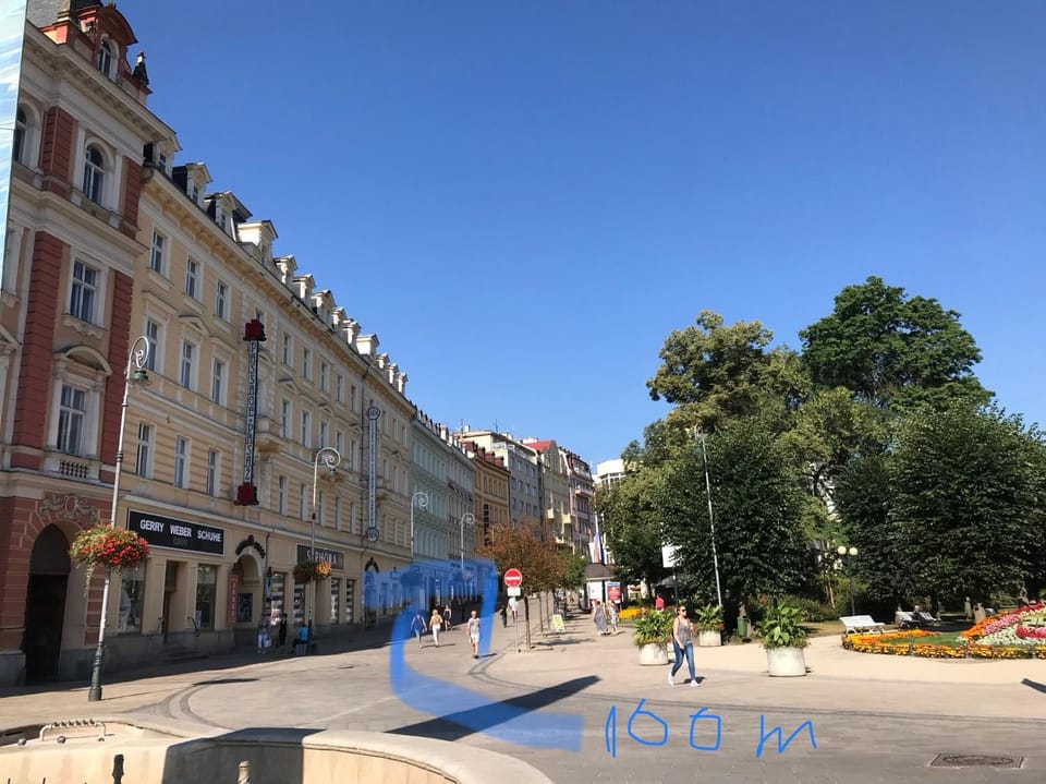 Royal apartment Apartment in Saxony