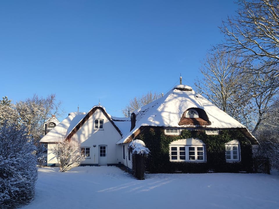 Property building, Winter