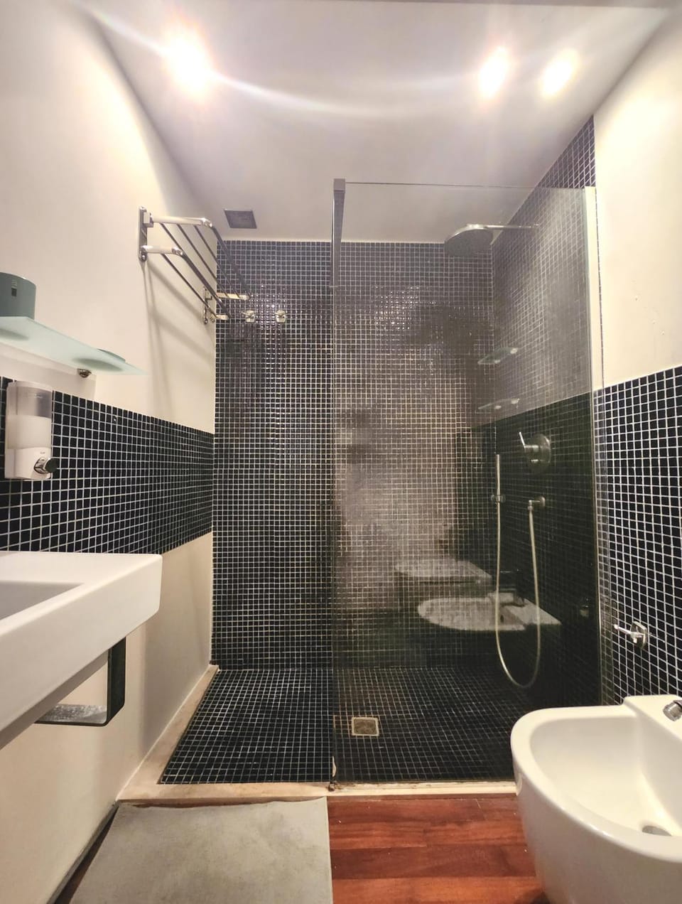 Shower, Toilet, Bathroom, bidet