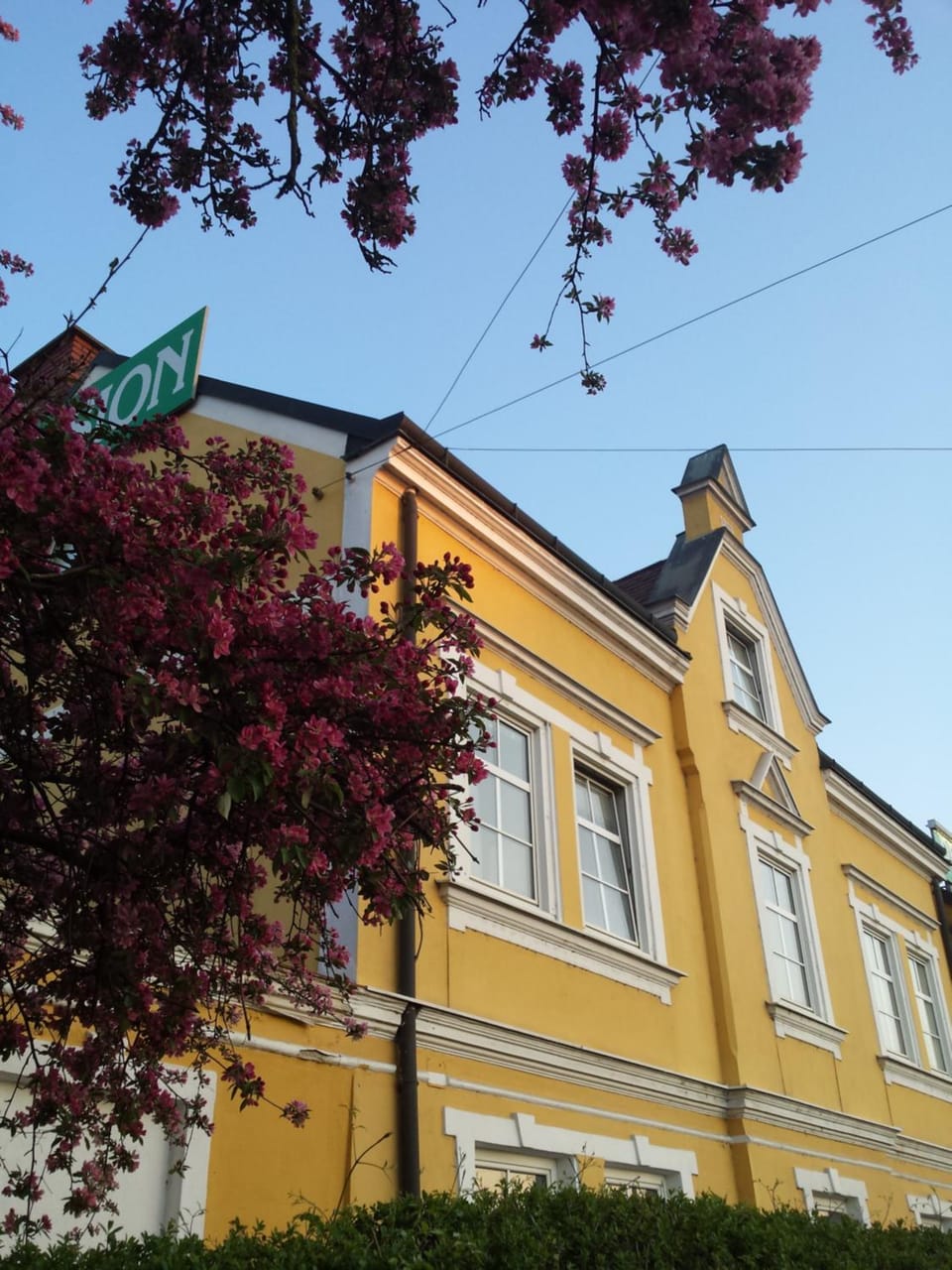 Facade/entrance, Spring