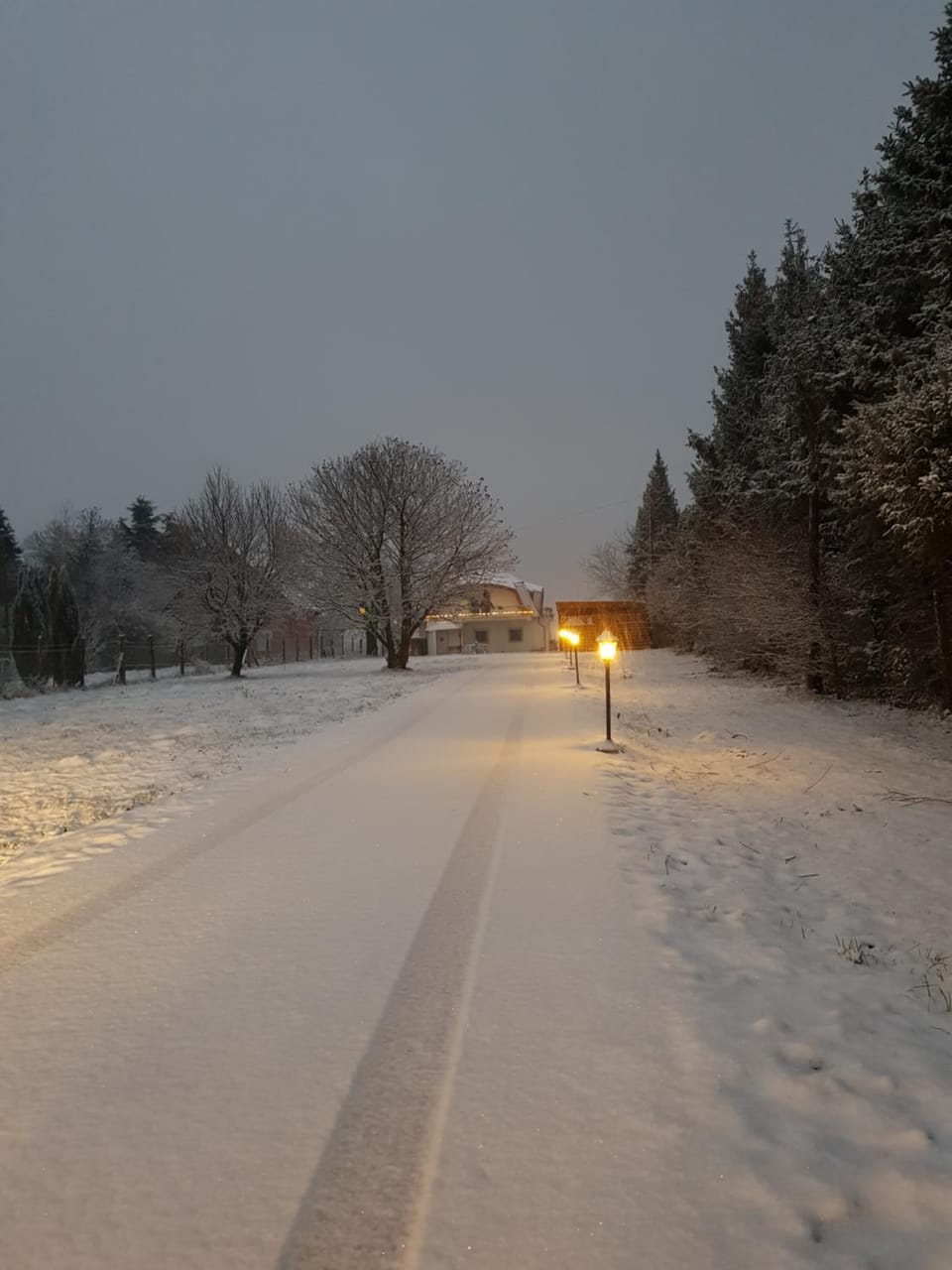 Winter