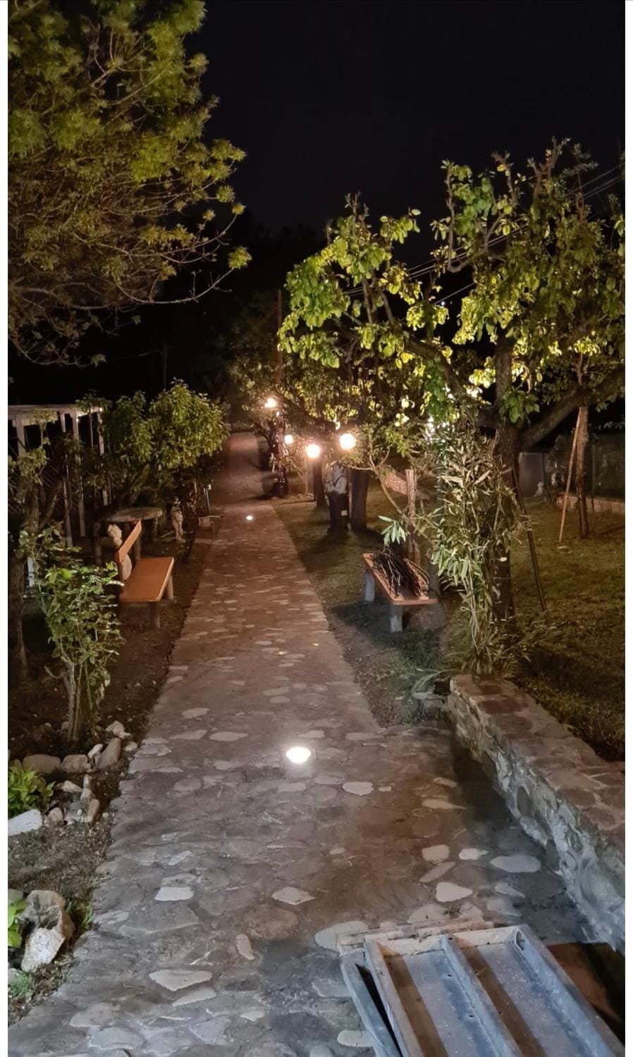 Night, Garden view