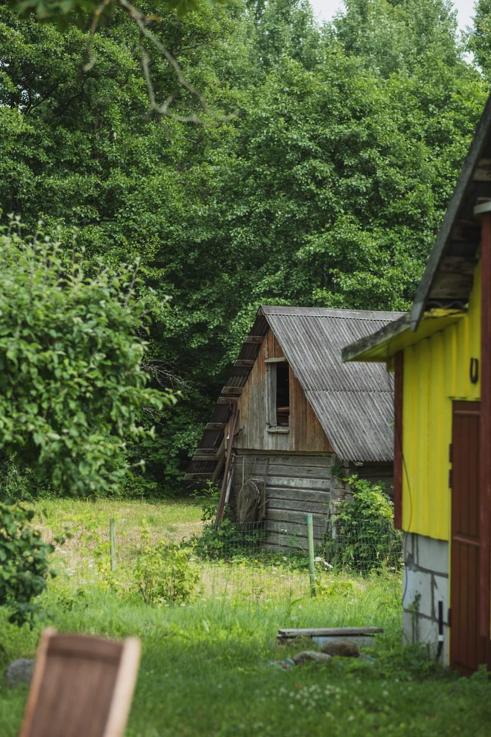 Property building, Garden, Garden view