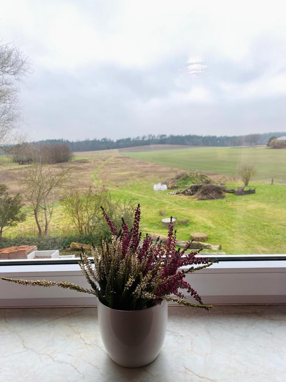 Natural landscape, View (from property/room), Decorative detail