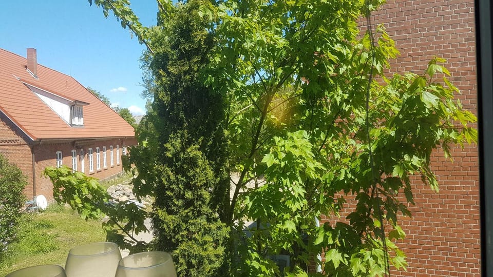 Garden, View (from property/room)
