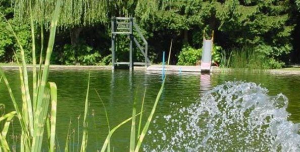 Swimming pool, Swimming pool