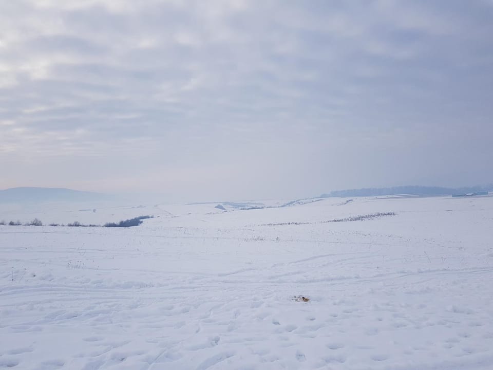 Property building, Natural landscape, Winter