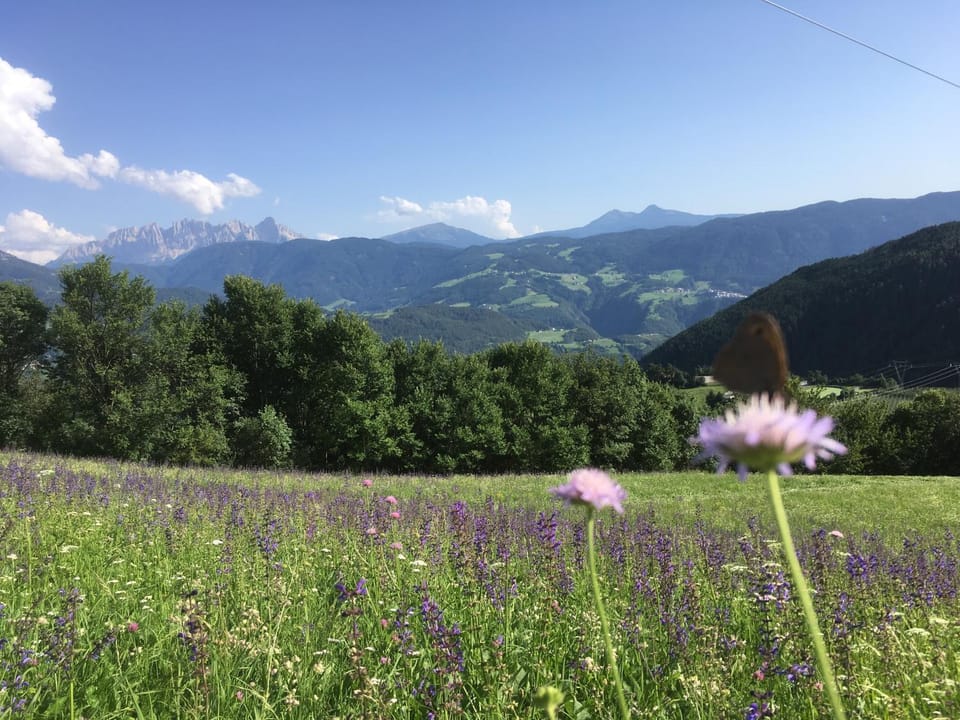 Day, Natural landscape, Summer, Garden, Mountain view