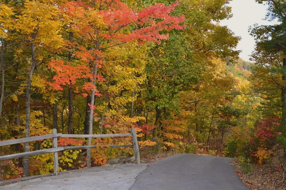 Neighbourhood, Natural landscape