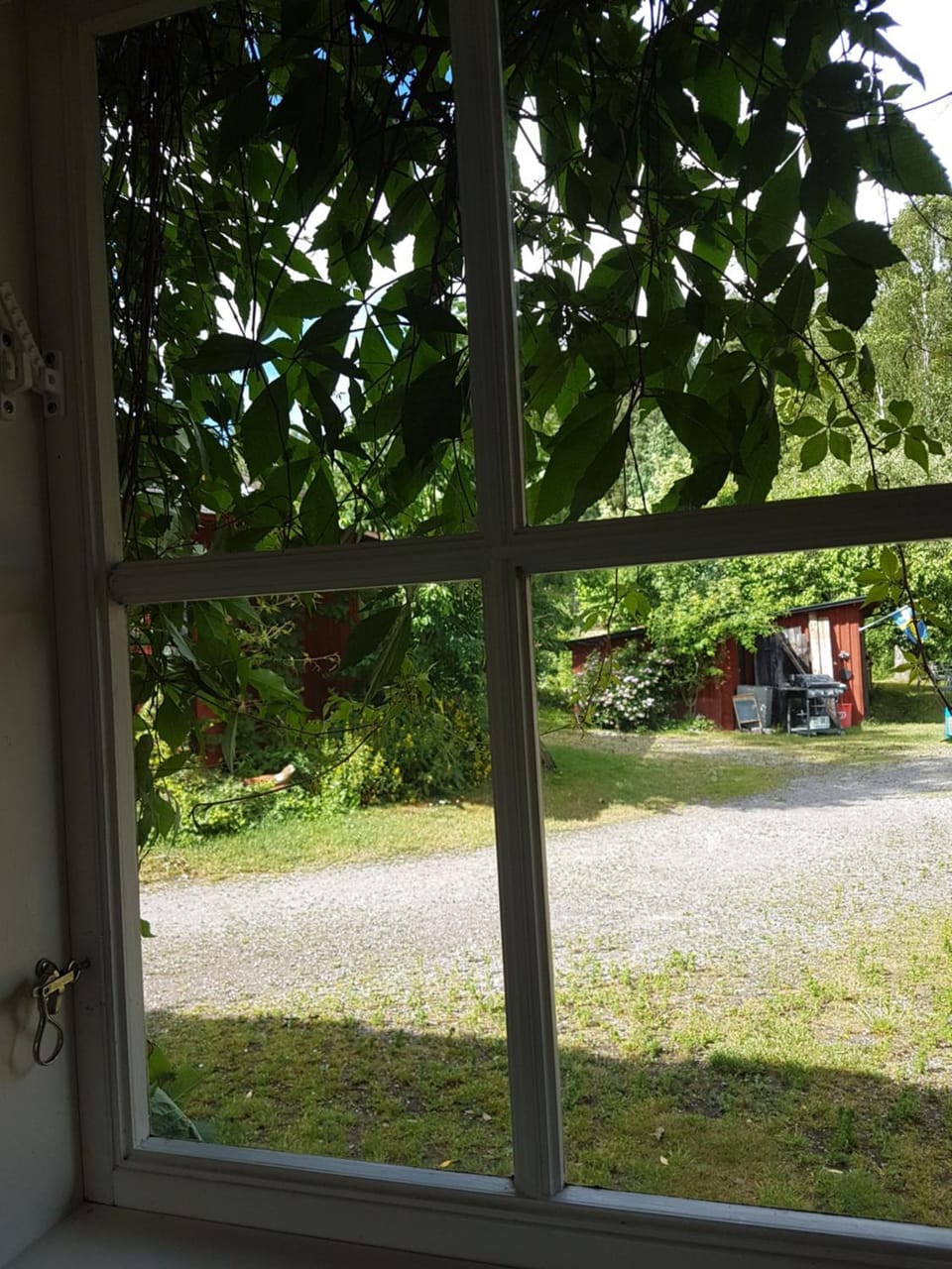 Garden view