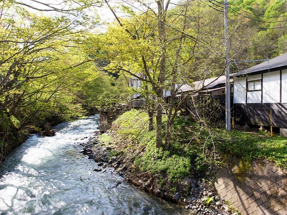 River view