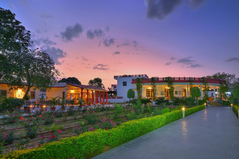 Garden, Garden view, Garden view