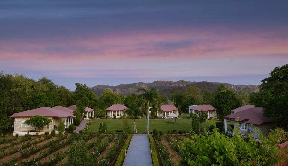 Garden view
