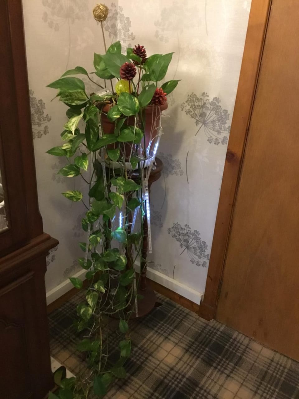 Alltonside Guest House Bed and Breakfast in Scotland