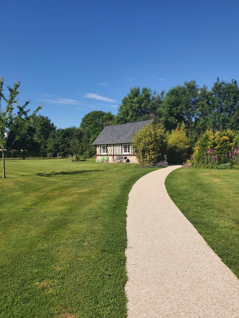 Property building, Garden, Garden view
