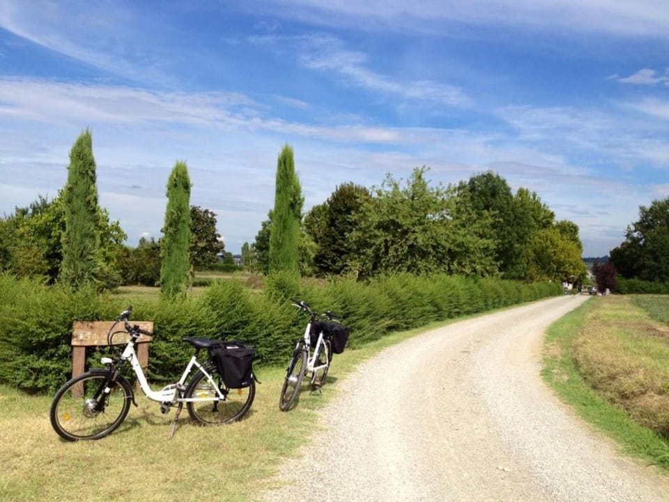 Cycling, Cycling