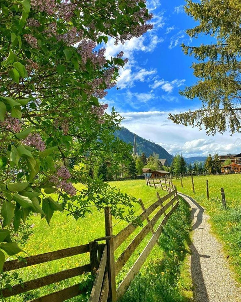 Frühstücks- & Apartmenthaus Maislau Inn in Salzburgerland