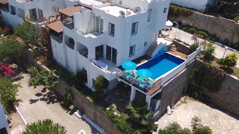 Bird's eye view, Other, Pool view