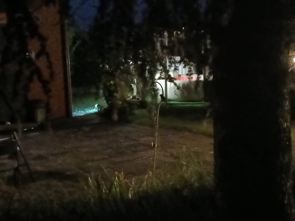 Il Borgo dei Pini Apartment in Emilia-Romagna