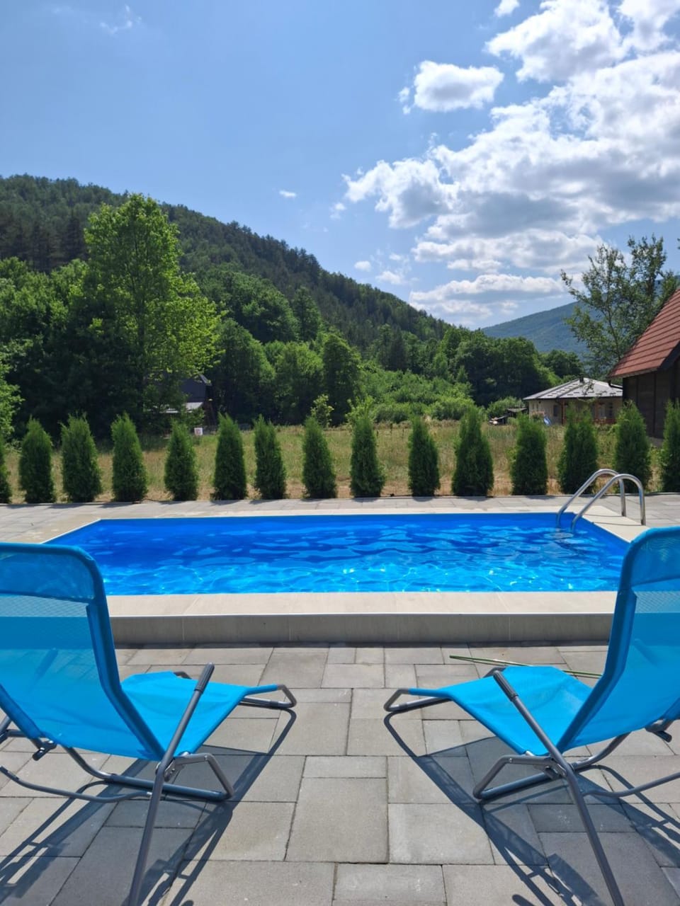 Vila Petar Mokra Gora Apartment in Zlatibor District, Serbia