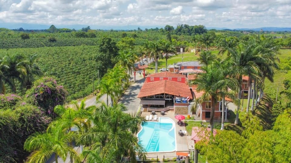 Bird's eye view, Swimming pool