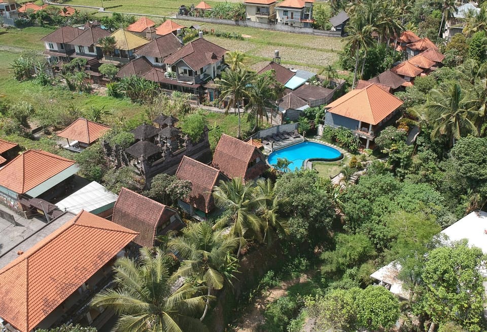 Neighbourhood, Bird's eye view, Garden, Garden