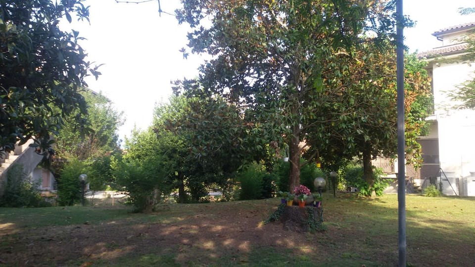 Property building, Garden view