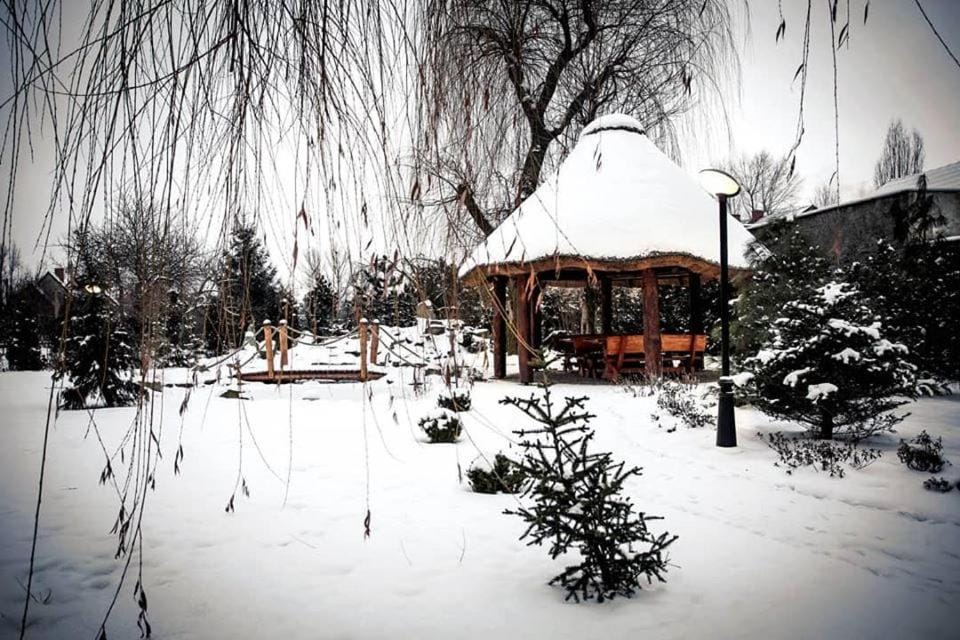 Winter, Garden