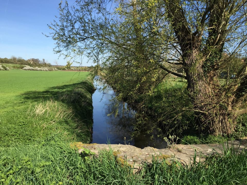 Nearby landmark, Natural landscape