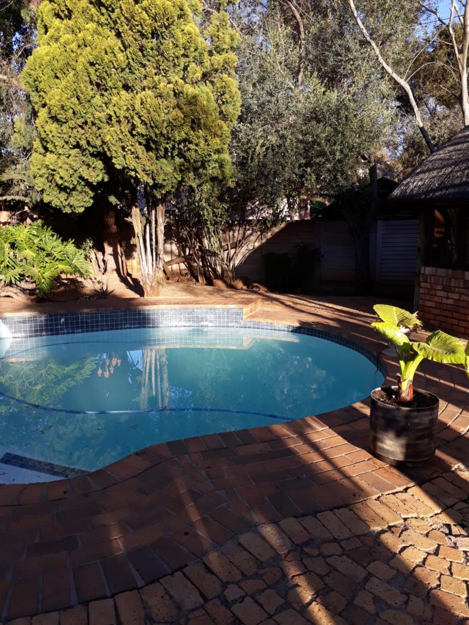 Garden, Pool view, Swimming pool