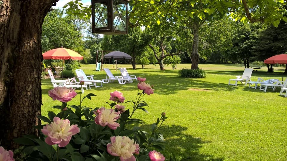 Patio, Natural landscape, BBQ facilities, Garden, Balcony/Terrace, On site, Guests, Garden view, group of guests, Family