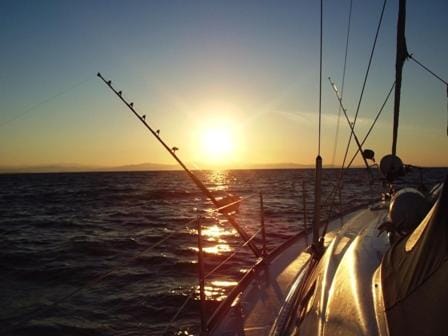 Off site, Fishing