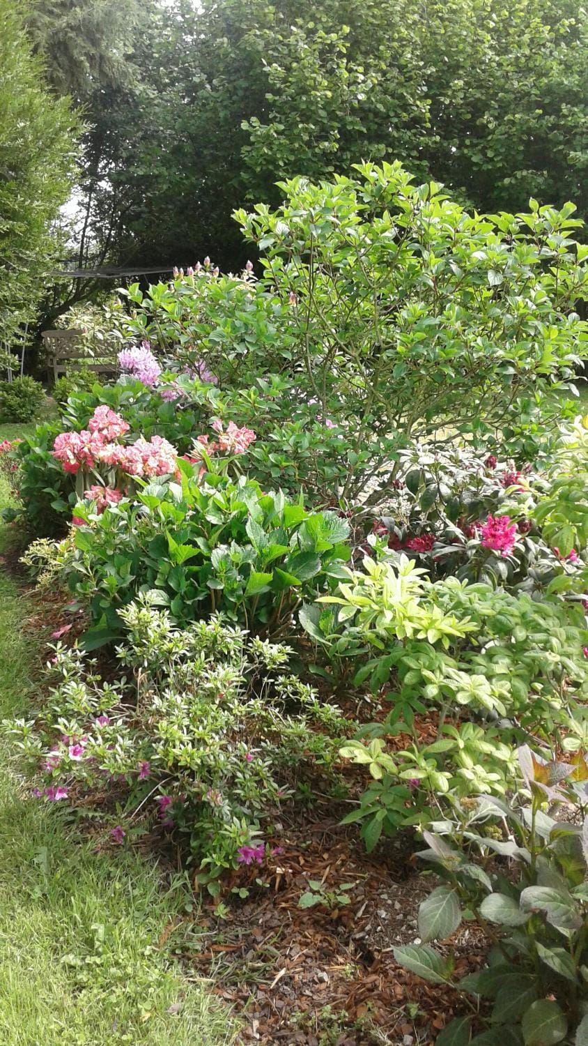 Les Ruettes Bed and Breakfast in Pays de la Loire