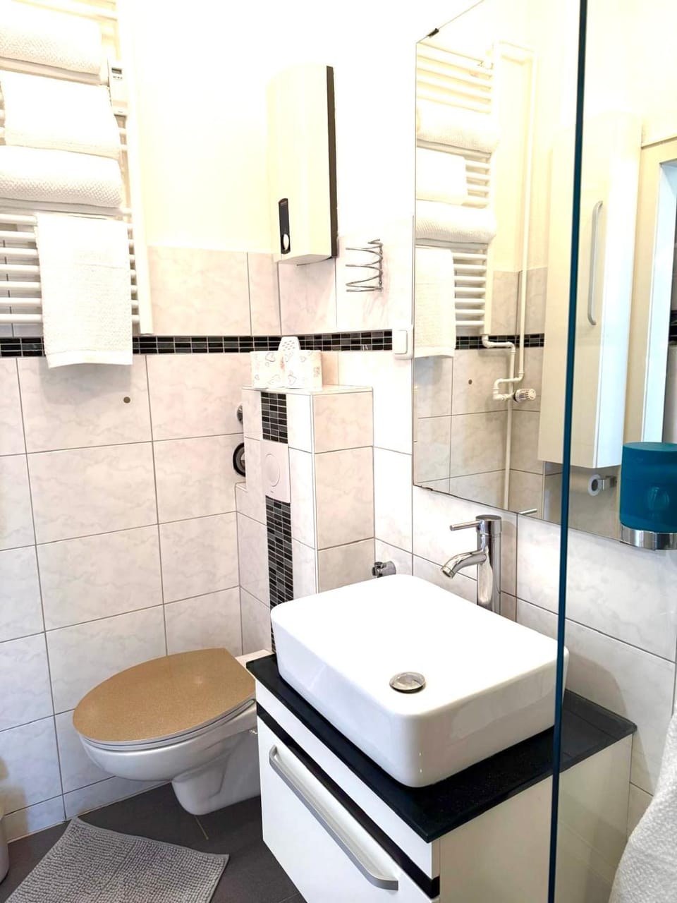 Shower, Toilet