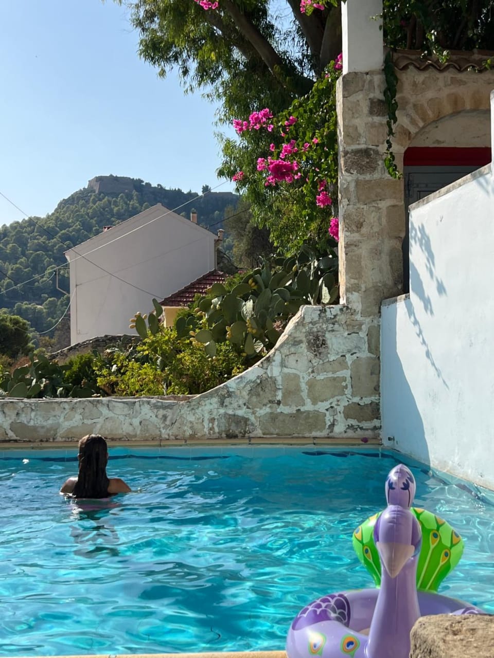 Day, Natural landscape, Pool view, Swimming pool