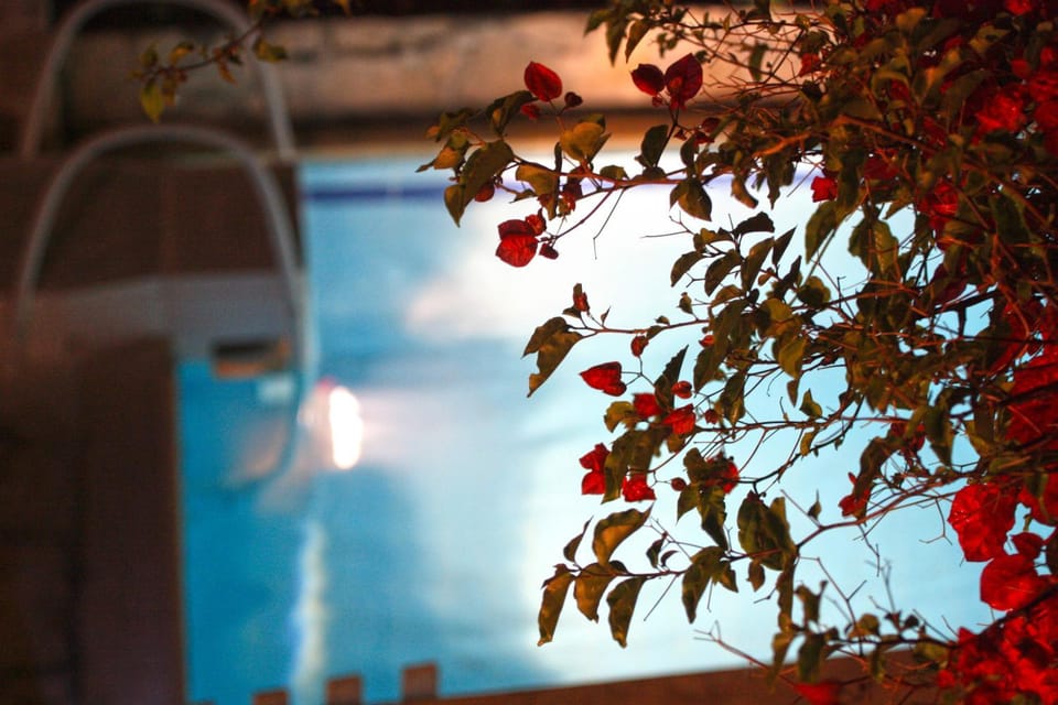 Night, Summer, Swimming pool