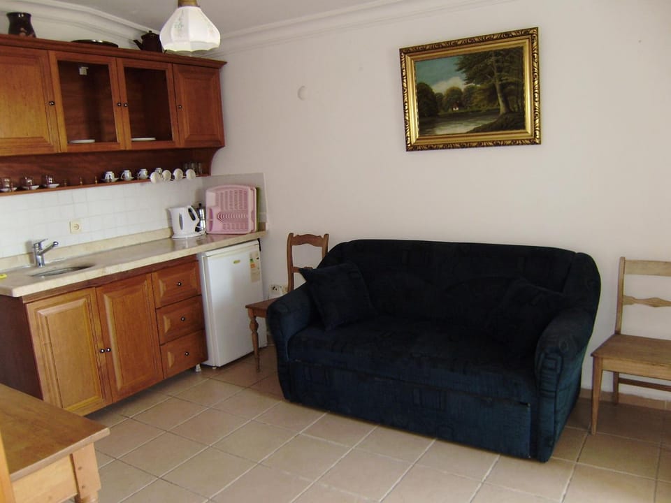 Datca Hotel Antik Apart Apartment hotel in Muğla Province
